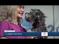 2 Cares for Pets: Rowdy