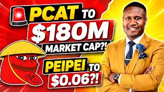 PCAT to $180M MC, ATH?! Peipei to $0.06?! Crepe, Luna, Shiba Inu? Prophetic Insight From Benjamin