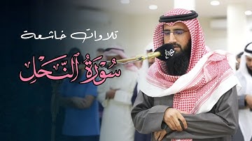 عشاىية خاشعة تلاوة مميزة تفوق لا توصف بصوت الشيخ حمزة معاذ | عشاء 14-8-1446 هـ