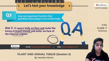 Plant and Animal Tissue 🌱| ICSE Class 7 Science (Bio) | 🔴 Online Classes | Session 2 - Swiflearn