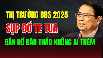 Thảm Kịch Bất Động Sản 2025: - Hàng Triệu Người Chôn Vùi Trong Nợ Nần và Vòng Xoáy Tàn Phá!.