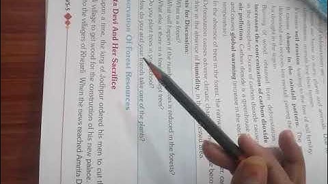 class 5th EVS chapter 7 magnificence of tree part 2