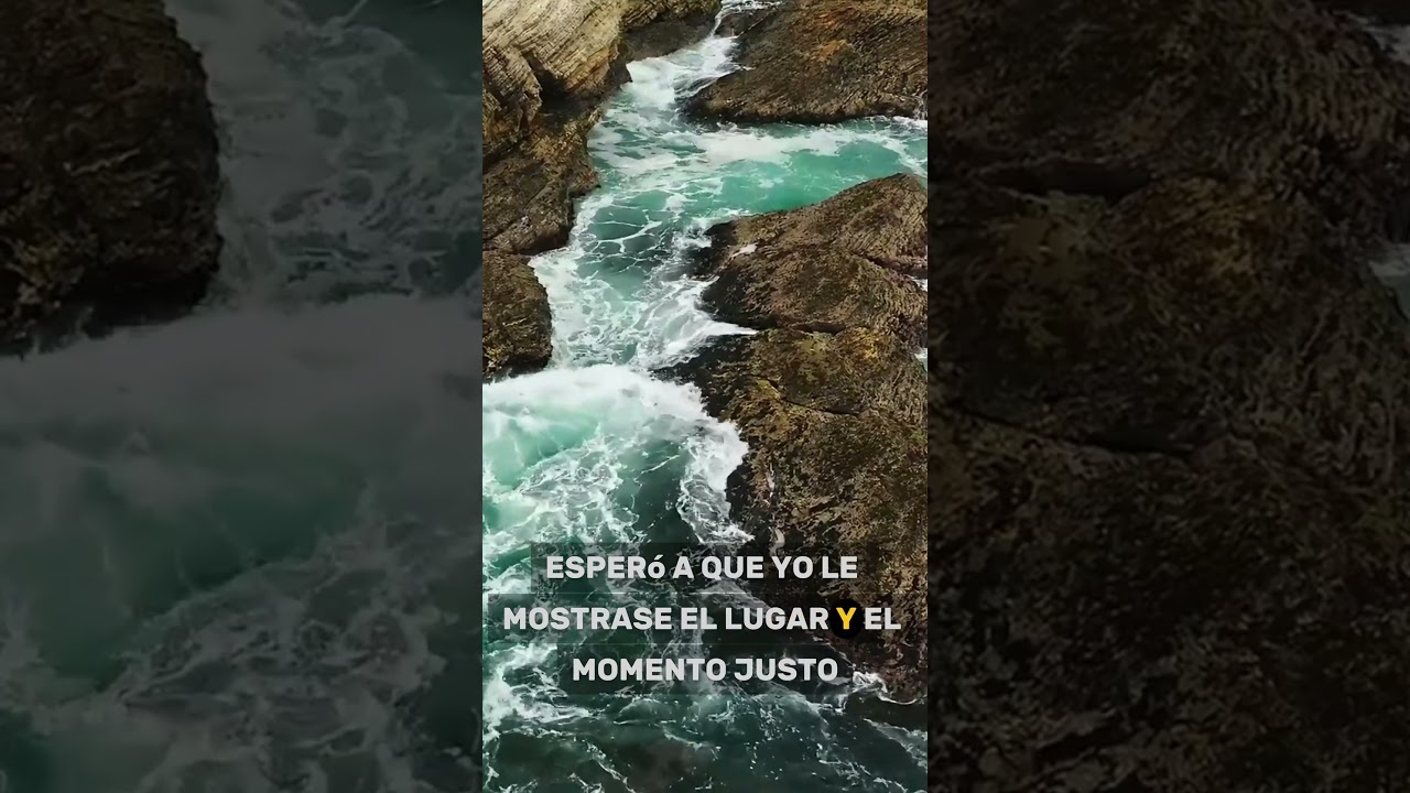 👀 La mirada del pescador