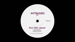 Soul Des Jaguarzwahashu original Mix 