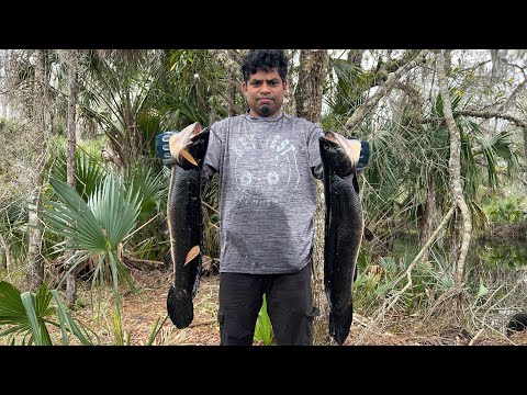 A next good day of Hassa catching 🔥🔥