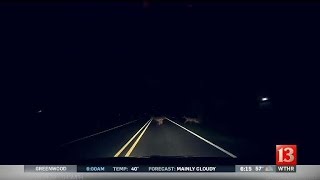 Car-deer crashes 6pm