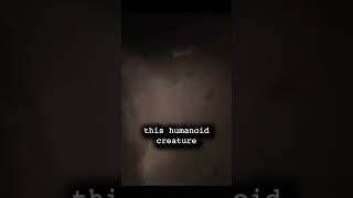 Creature FOUND in Tunnel System..
FULL VIDEO: https://www.youtube.com/watch?v=8UfRhnB6O1Q&t=2s
Original Footage: https://www.youtube.com/watch?v=X72xDpv898Y&t=4s Creature FOUND in Tunnel System..