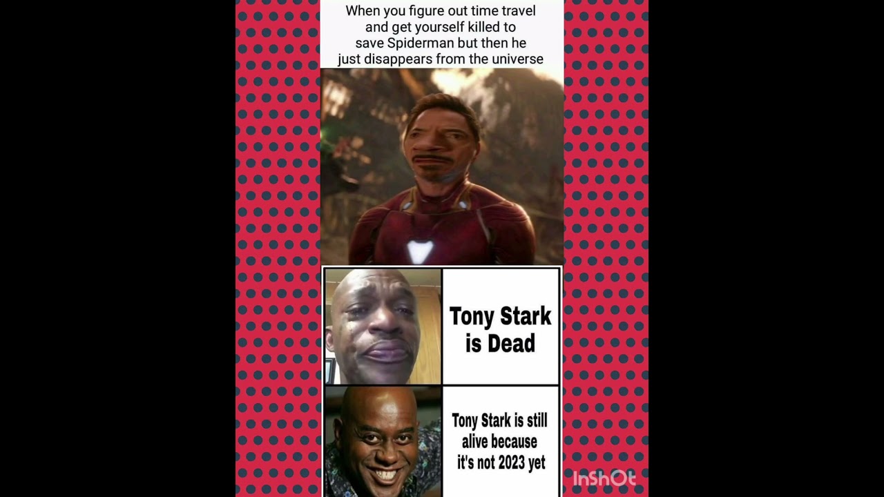 Iron Man’s Time Travel Gone Wrong 😂 | Marvel Multiverse Meme