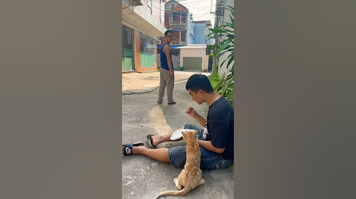 The cat find a good man #shorts #cat #dog #catlovers