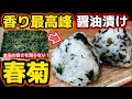 日本人の99%が本当の香りを知らない【春菊の醤油漬】しゅんぎくが本領発揮するのは鍋じゃない!自然漬物で薫り爆発レシピ!しょうゆが効く漬け物!つけもの・漬け方・食べ方・方法・シュンギク・おにぎり・ハーブ