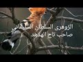الزوهرى الربانى السلطانى رفيقه كشاف رتبة عاليه الهدهدو محمدى سليمانى صديقه النورانين الحكام