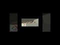 Пруг апрофщ 😌 #chicken#memes#chickengunplay#Chickengun