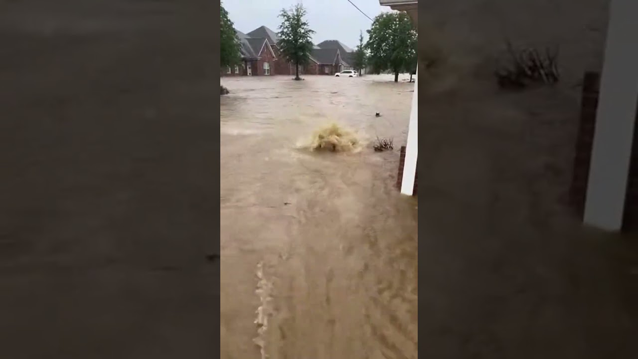 🌊 Heroes of the Flood: Compassionate Rescues 