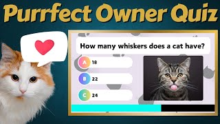 Perfect Cat Owner Quiz: Can You Ace This!? 【Cat Knowledge Quiz】