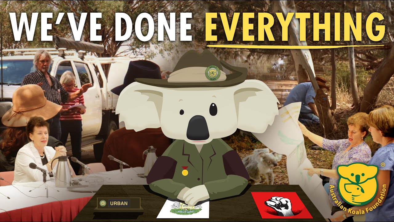 We've Done Everything