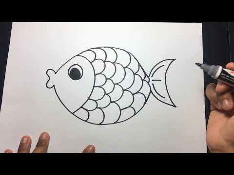 สอนวาดรูป  การ์ตูน ปลาการ์ตูน  by ครูหมิว  how to  draw fish easy