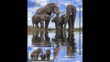 Quickly ! How to Create Water Reflections With Realistic Ripples in Photoshop just in 2 Minutes