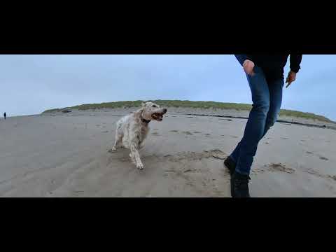 Ameland Wandeling paardengraf en strand  2021