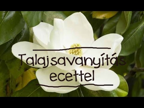 Videó: Hogyan javíthatjuk szervesen a talajt?