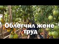 Лучше поздно, чем никогда // Сделал капельный полив