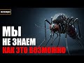Почему КОМАРЫ выбирают ИМЕННО ТЕБЯ