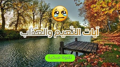 آيات النعيم والعذاب❤|💔تلاوة مبكية