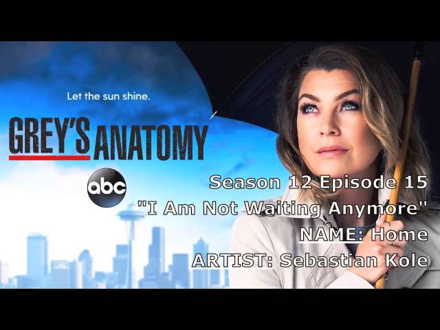 Grey's Anatomy Soundtrack - 