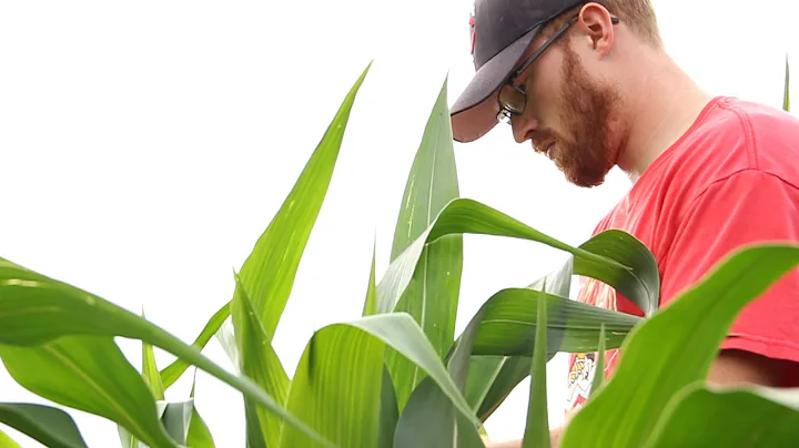 My Plant Path: Graduate Student Blake Webster