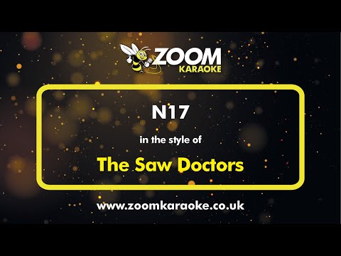 The Saw Doctors - N17 - Karaoke Version from Zoom Karaoke