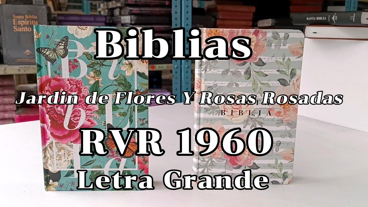 Biblia de letra súper gigante 19 puntos riena Valera 1960 cierre índic