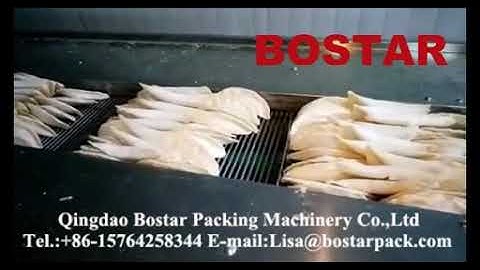 Vegetables Dumplings Food Automatic Packing Machine Flow Wrapping Machinery