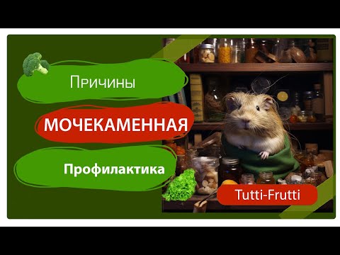Мочекаменная болезнь у морских свинок. Причины и Профилактика.