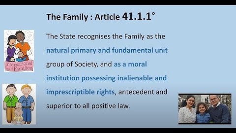 Professor Siobhán Mullally presents on The Family in the Constitution and Law