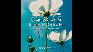 سورة الاخلاص (ماهر المعيقلي) حالات واتس اب دينية 🌿💕#ماهر_المعيقلي