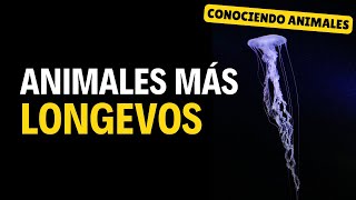 Inmortalidad Animal: Los Seres Vivos Más Longevos del Planeta