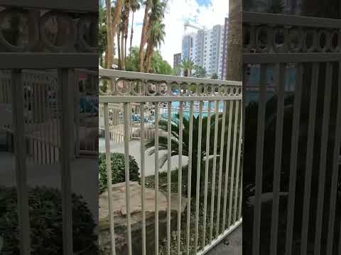 casino Tours of MGM Properties in Las Vegas