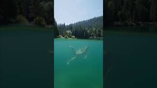 Hot? Dive into Lake Cauma 💦🏊 #LAAX #LakeCauma @LAAXchannel