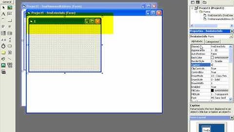 VB 6.0 Windows Programming Videos |  VB Name And Address