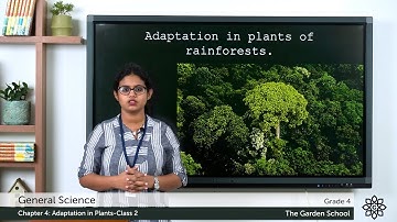 Grade 4 General Science Chapter 4 Class 2 Adaptations of Plants of the Costal Region & in Rainforest