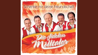 Video thumbnail of "Die fidelen Mölltaler - Meine Sehnsucht mich zu dir trägt"