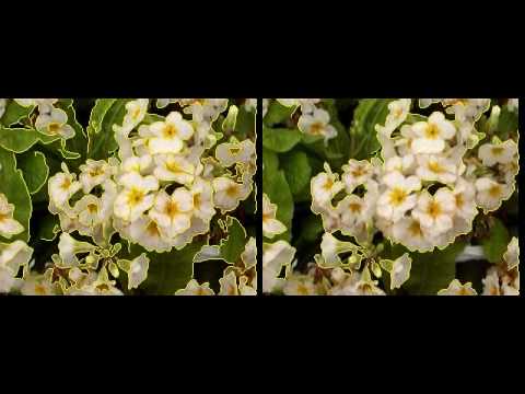 Edge Detection in Videos