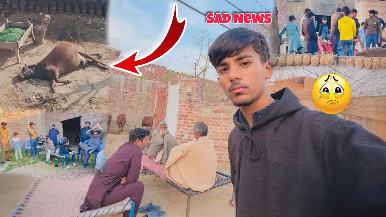 SAD NEWS 🥲🥺|Abdullah Jutt\