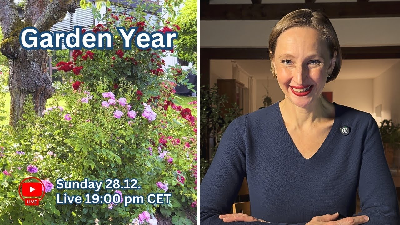 A Year in My Rose Garden 🌹