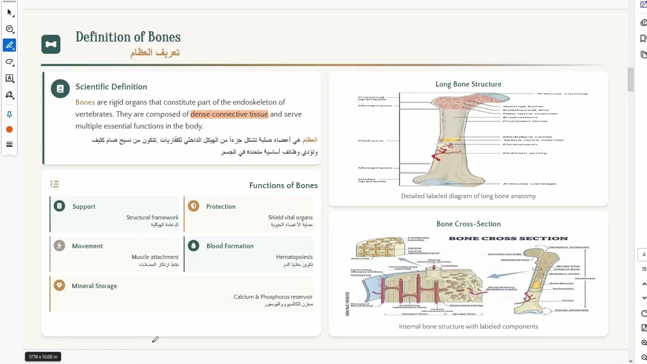 Introduction to Anatomy for Nursing students