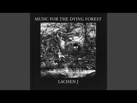 Lach'n Jonsson — Skogen Flyr