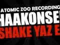 Haakonsen  everything we want  atomic zoo recordings