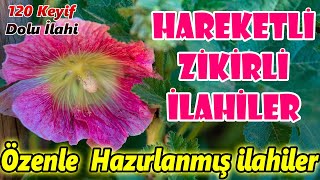 En Güzel İlahiler🌹Karışık Türkçe İlahiler🌹Yeni Zikirli Sevilen İlahiler🌹Keyif Veren İlahi Dinle