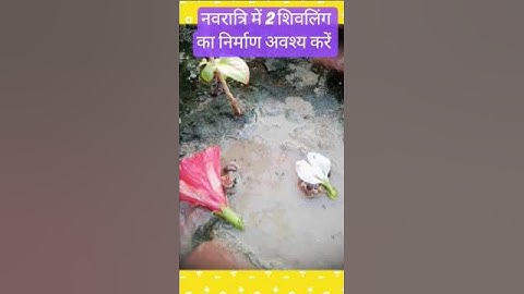 नवरात्रि में 2 पार्थिव शिवलिंग का निर्माण अवश्य करें ..#katha #shorts #upay #bholenath