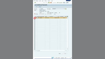 Infotype 15 Additional Payments #Shorts #saphr #payroll #hr #employees #saphcm #sap