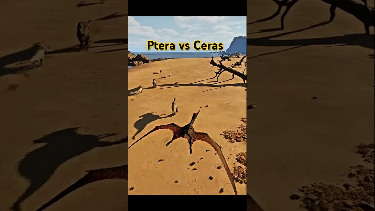Ptera vs  10 Cera 